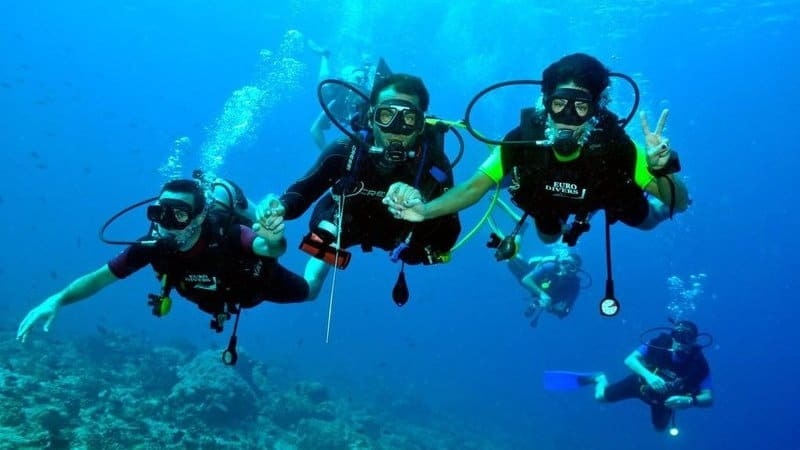 Why Manta Ray Diving Palau Is a Bucket List Experience